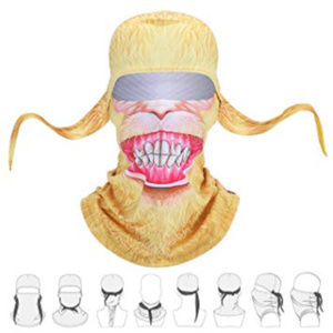 Facemask Balaclava Animal